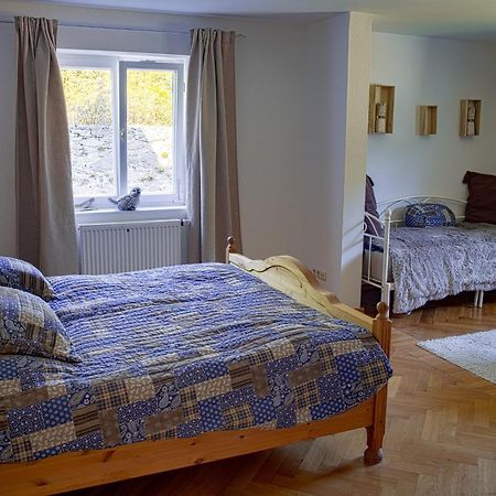 Das Alte Forsthaus Spiegelhuette Lindberg Εξωτερικό φωτογραφία