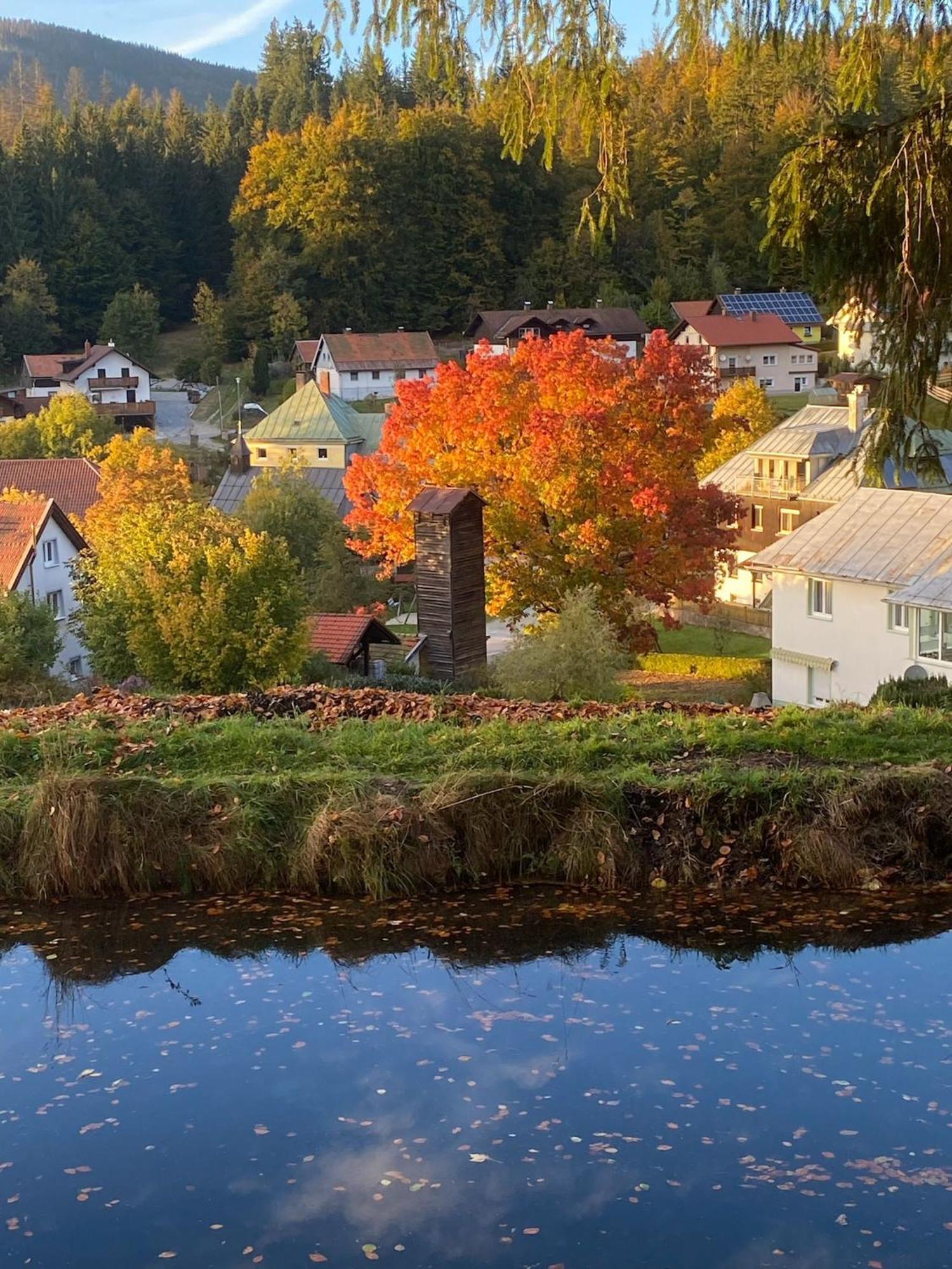 Das Alte Forsthaus Spiegelhuette Lindberg Εξωτερικό φωτογραφία